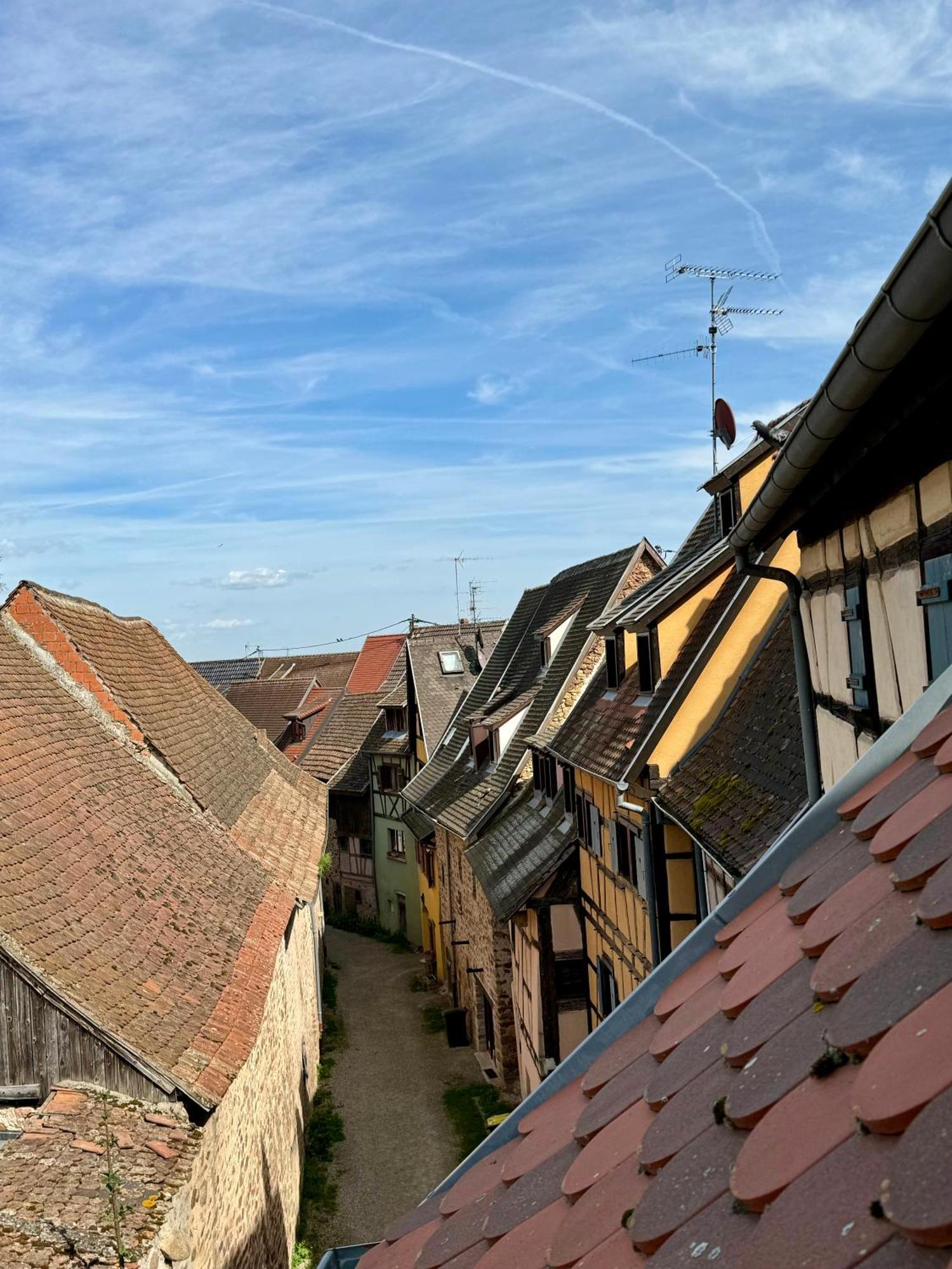 L'adresse - Rempart Sud - Avec Garage Prive * Eguisheim